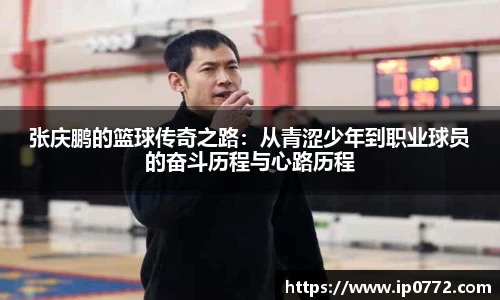 BV伟德官方网站